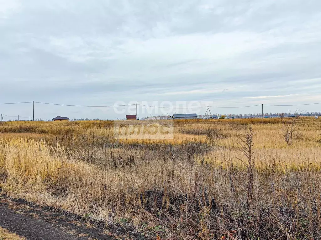 Участок в Ульяновская область, Ульяновск городской округ, с. Луговое ... - Фото 1