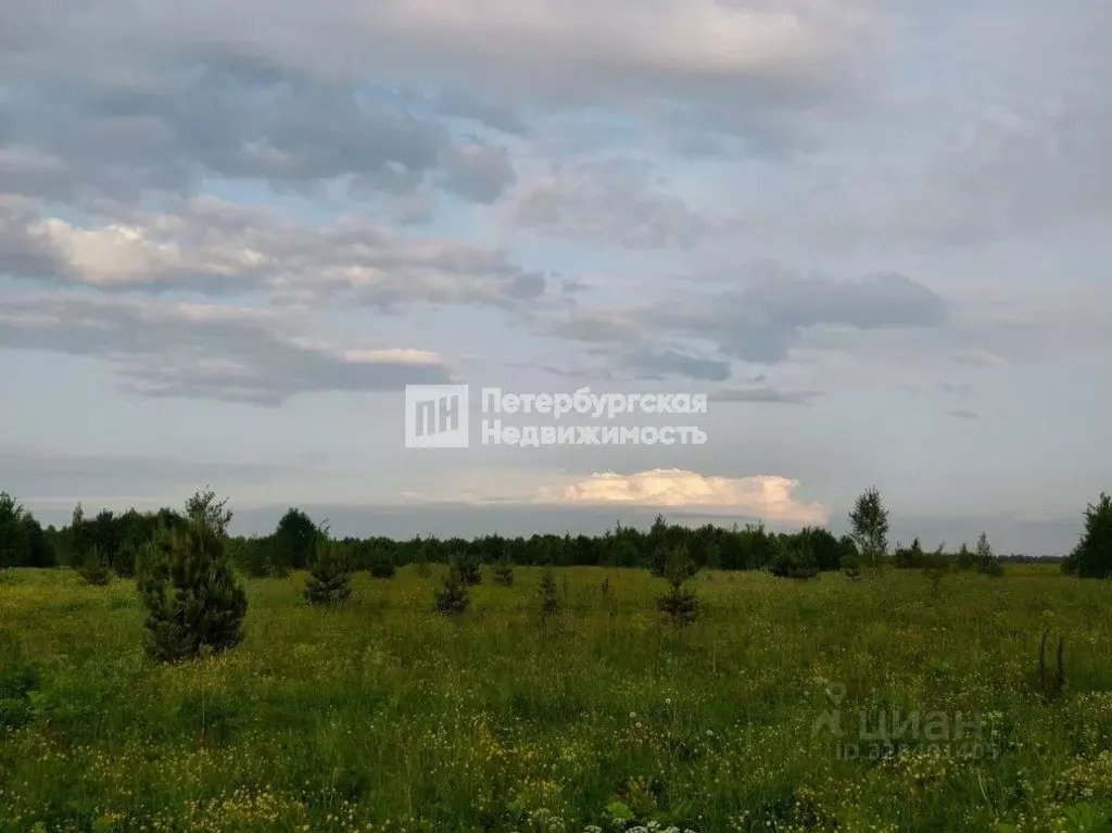 Участок в Ленинградская область, Кировский район, Мгинское городское ... - Фото 1