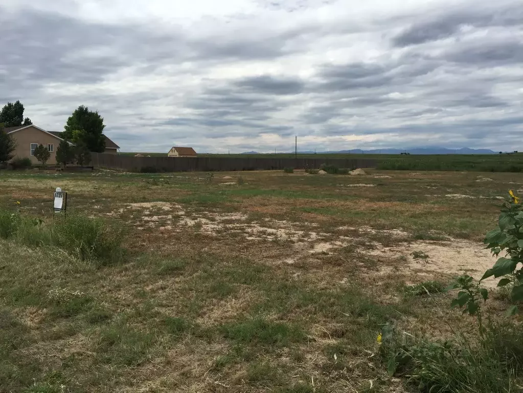 Участок в Ленинградская область, Волосовский район, Большеврудское ... - Фото 2