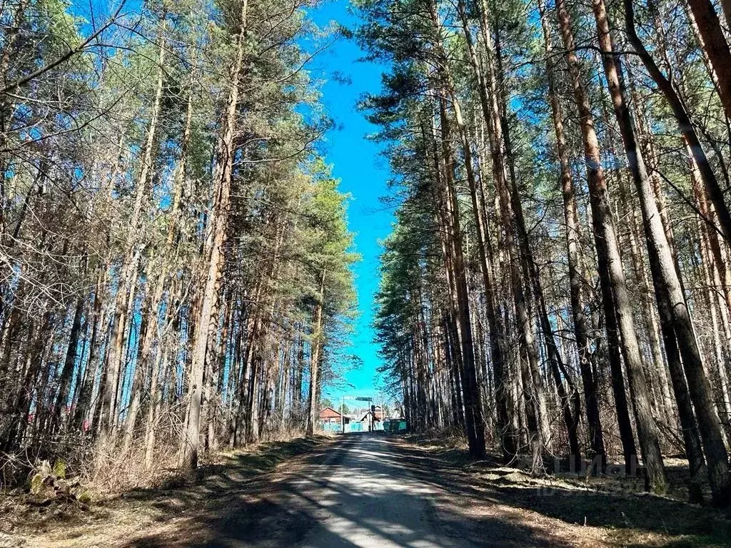 Дом в Кемеровская область, Топкинский муниципальный округ, Лесовод СНТ ... - Фото 0