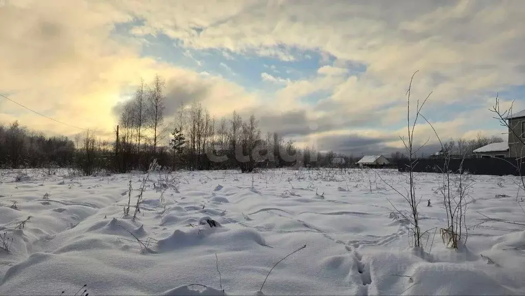 Участок в Ленинградская область, Киришский район, Глажевское с/пос, ... - Фото 1