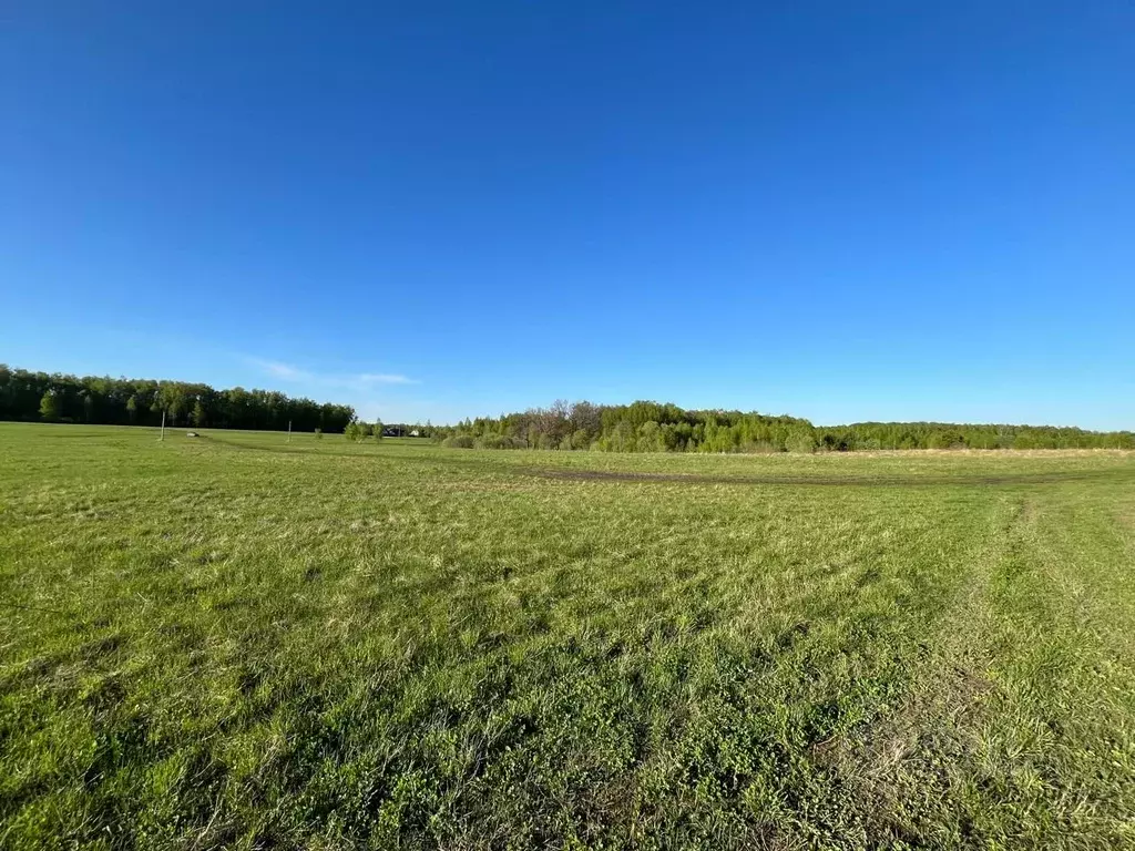 Участок в Московская область, Серпухов городской округ, д. Дубачино 2В ... - Фото 1