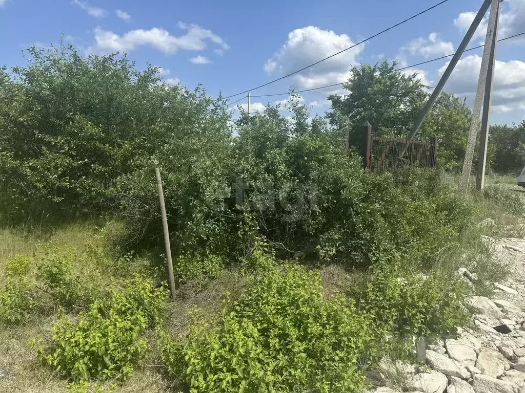 Участок в Белгородская область, Белгородский район, Никольское с/пос, ... - Фото 0