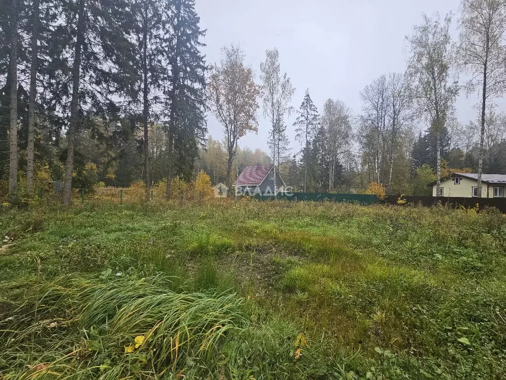 Продается участок в пгт Некрасовский - Фото 1