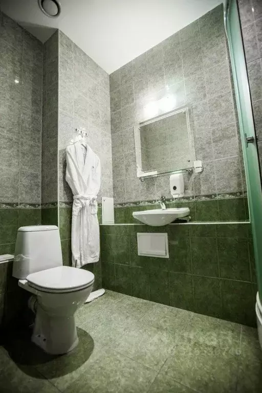 Комната Новосибирская область, Новосибирск Красный просп., 234/1 (26.0 ... - Фото 1