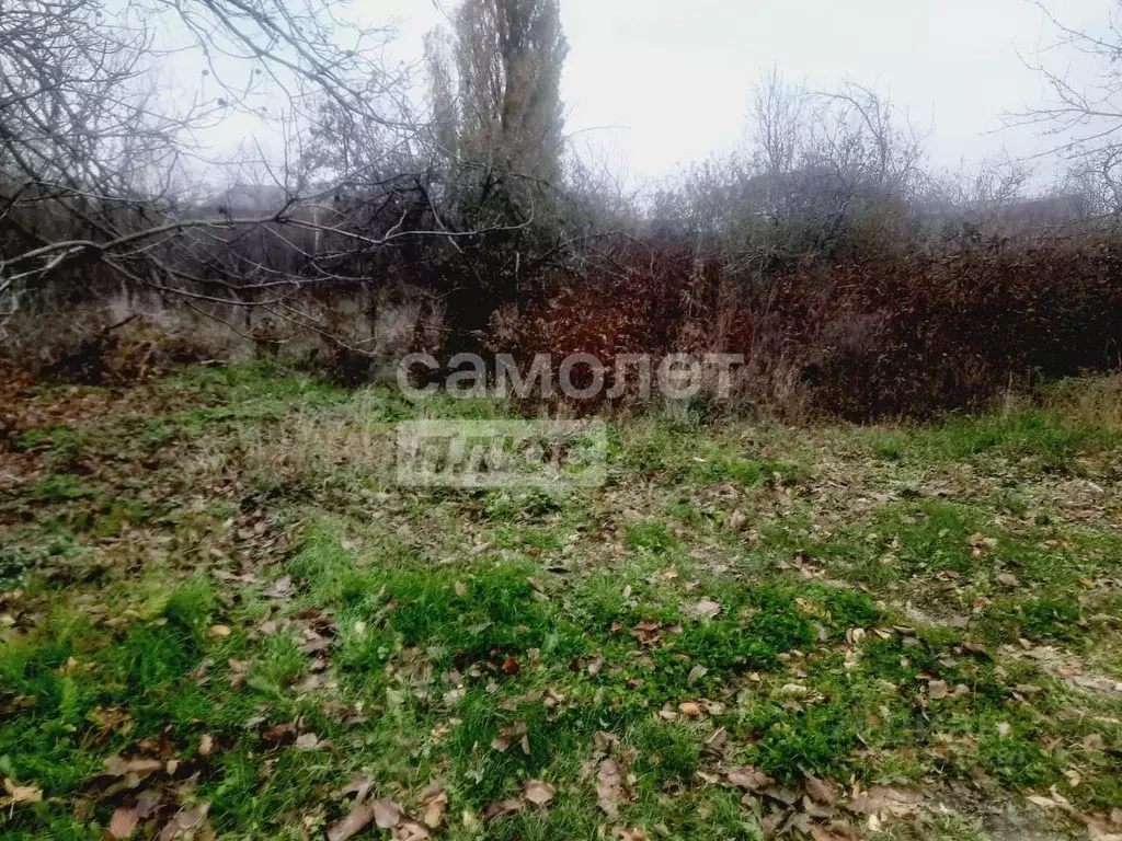 Участок в Краснодарский край, Новороссийск городской округ, ... - Фото 1