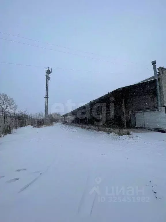 Склад в Курганская область, Курган Омская ул., 100 (1083 м) - Фото 1