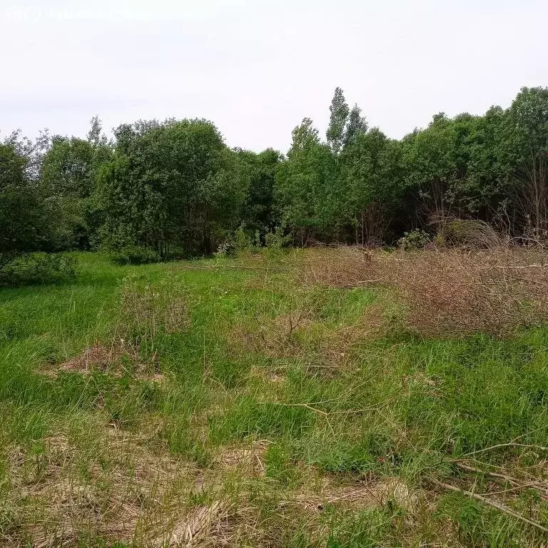 Участок в Тверская область, Калининский муниципальный округ, посёлок ... - Фото 2