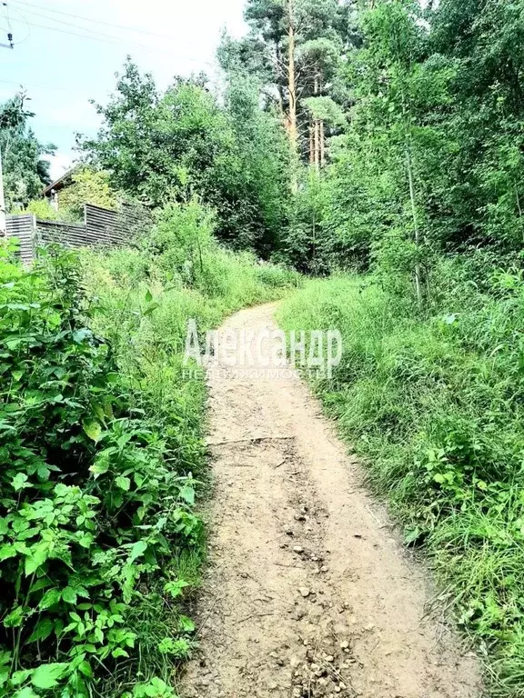 Участок в Ленинградская область, Приозерский район, пос. Сосново ул. ... - Фото 0