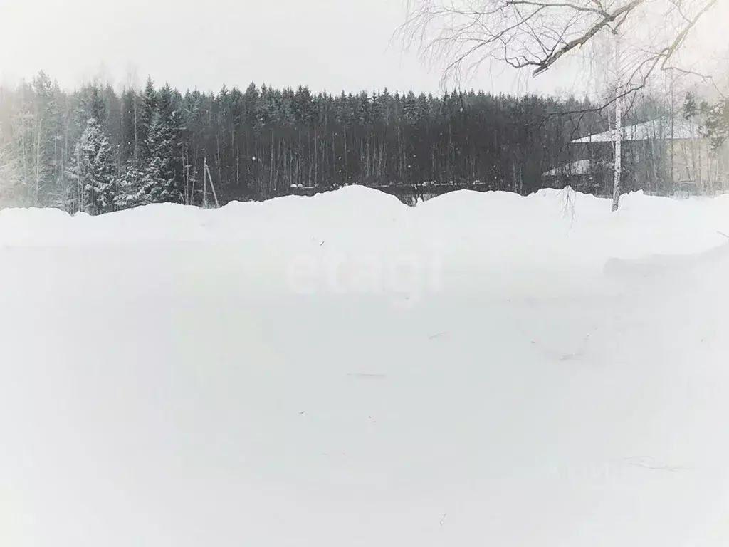 Участок в Калужская область, Калуга Секиотовская ул. (6.0 сот.) - Фото 2