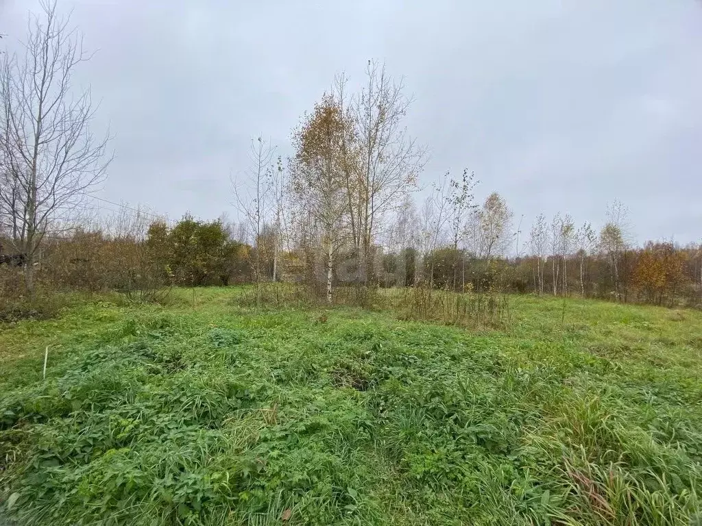 Участок в Костромская область, Костромской район, Самсоновское с/пос, ... - Фото 2