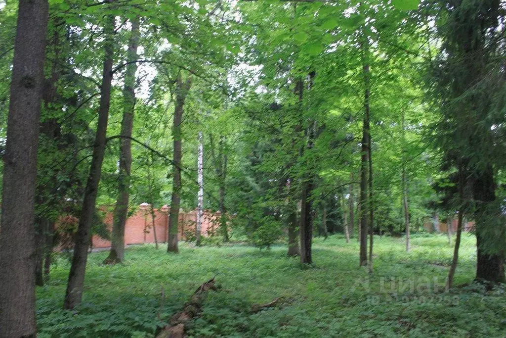 Участок, 51 сот., сельхоз (снт или днп) - Фото 0