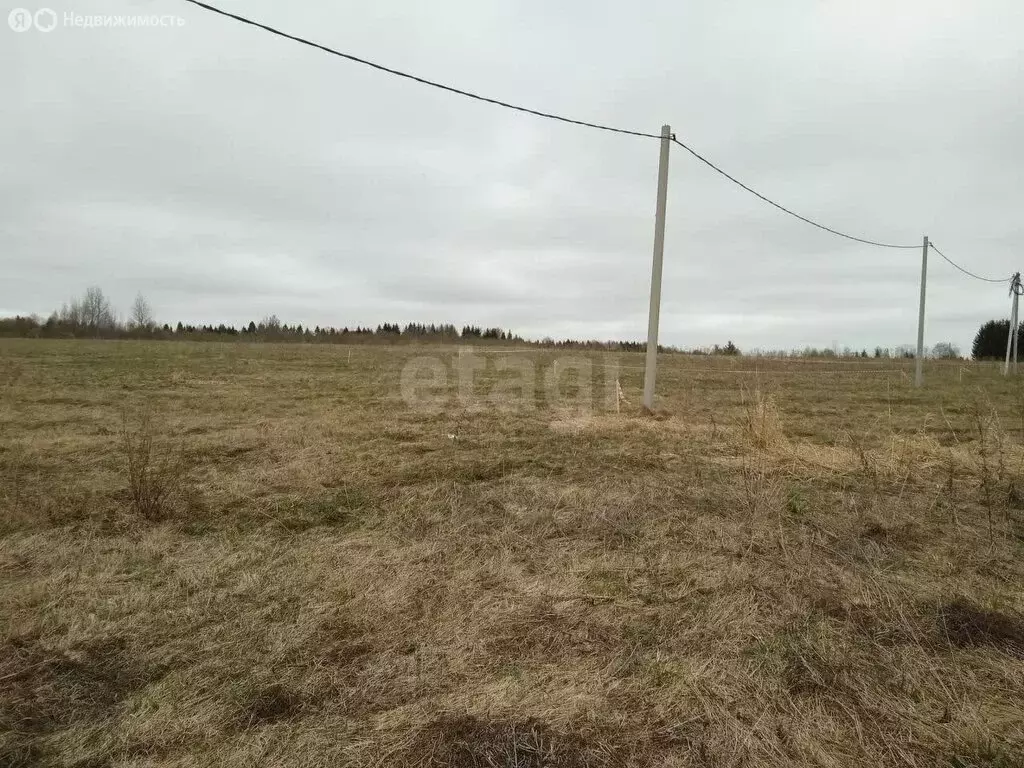 Участок в Вологодский муниципальный округ, деревня Токарево (Спасский ... - Фото 2