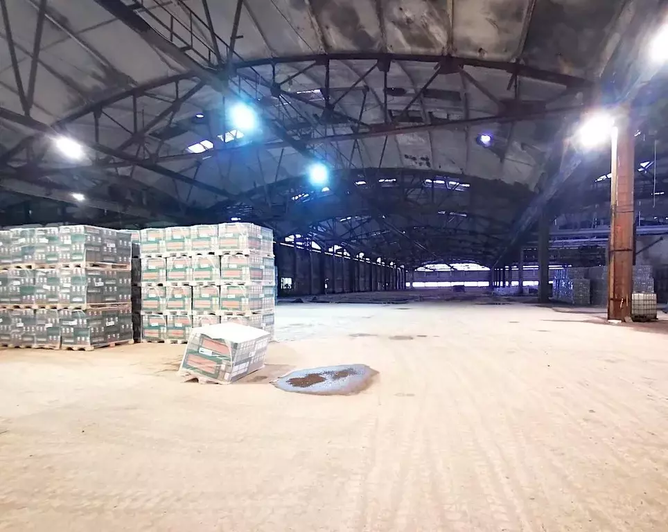 Производственное помещение в Ленинградская область, Никольское ... - Фото 1