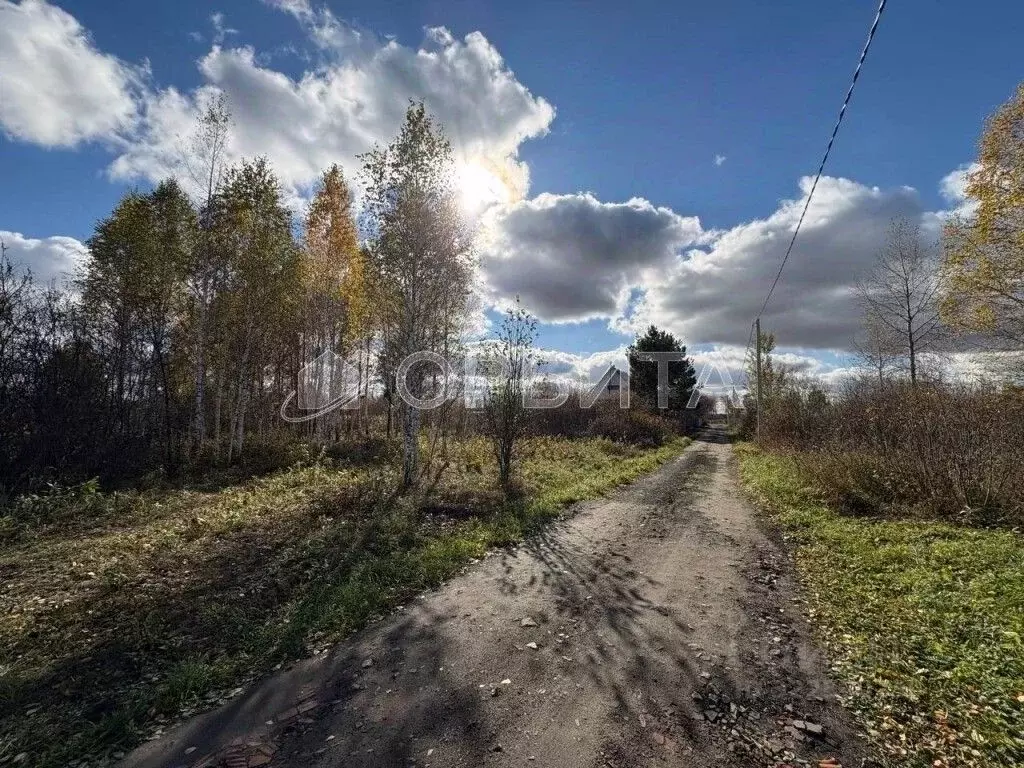 Участок в Тюменская область, Ялуторовский муниципальный округ, СО ... - Фото 0