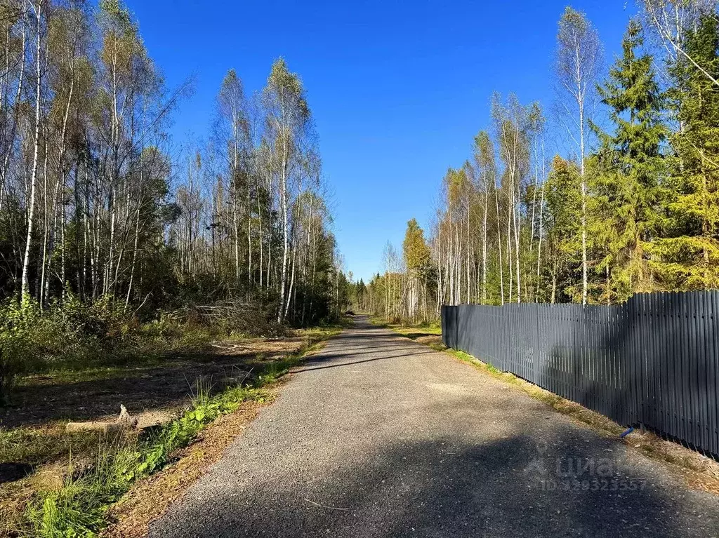 Участок в Московская область, Дмитровский муниципальный округ, ... - Фото 1