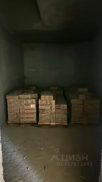 Помещение свободного назначения в Чеченская республика, Грозный просп. ... - Фото 1
