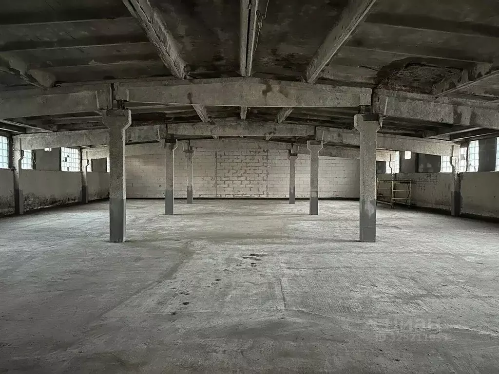 Производственное помещение в Московская область, Богородский городской ... - Фото 1