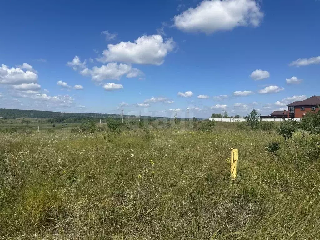 Участок в Белгородская область, Белгородский район, Новосадовское ... - Фото 2