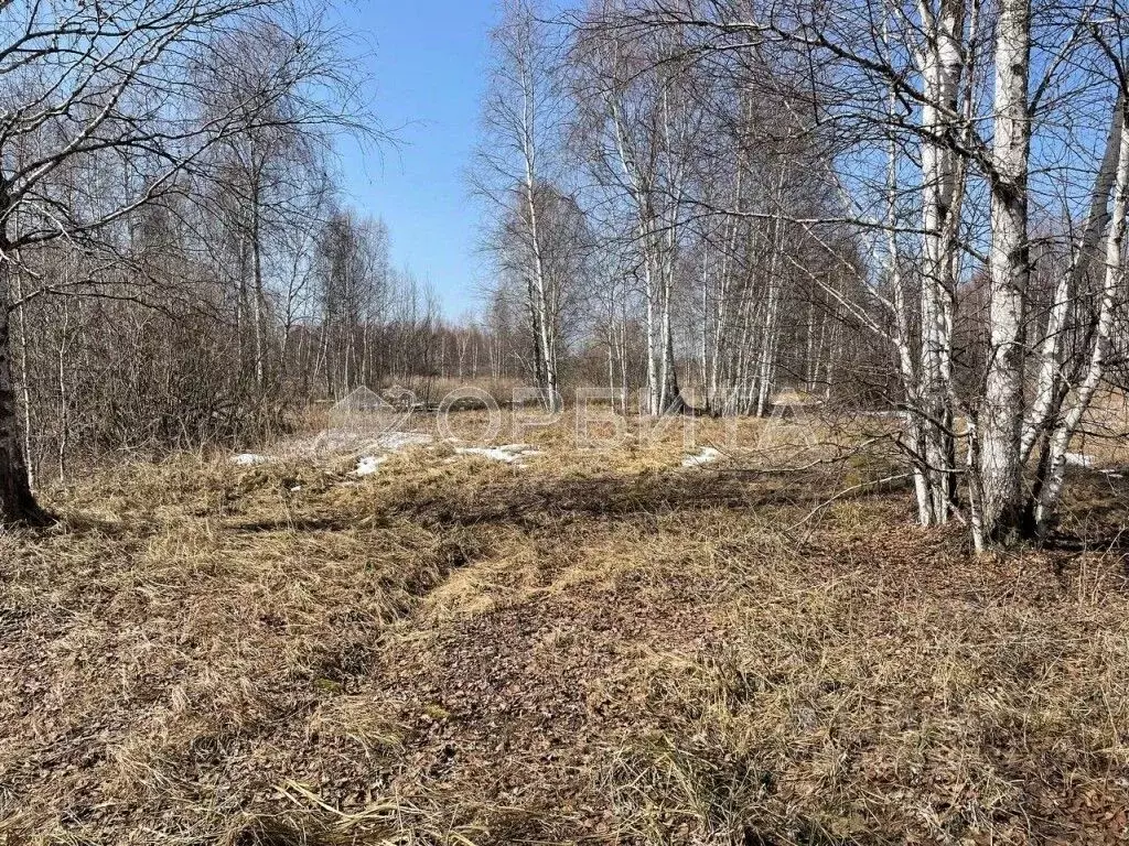 Участок в Тюменская область, Нижнетавдинский муниципальный округ, У ... - Фото 0