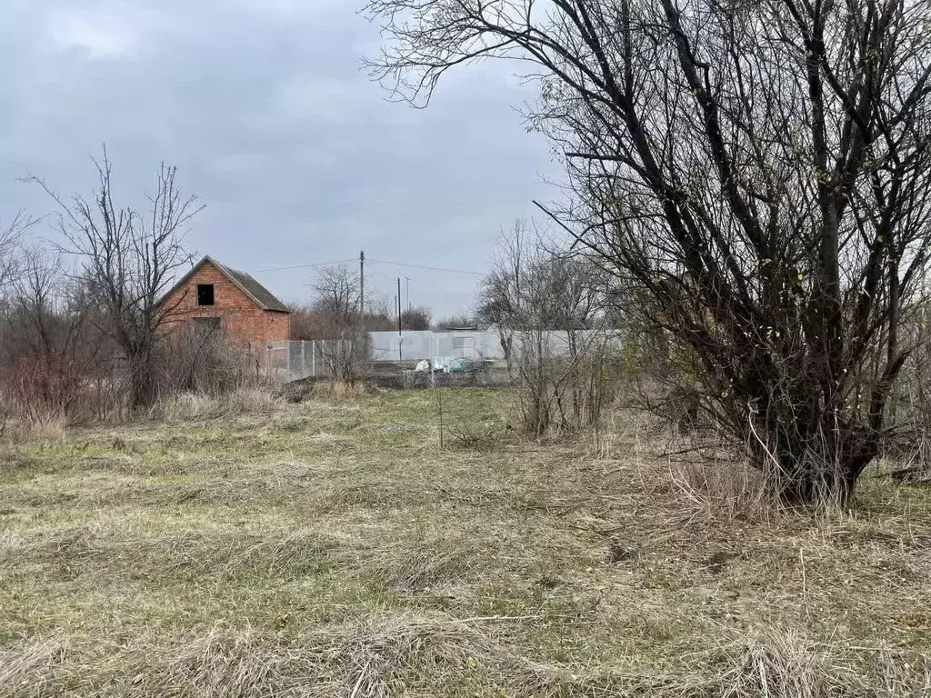 Участок в Краснодарский край, Ейское городское поселение, пос. ... - Фото 1