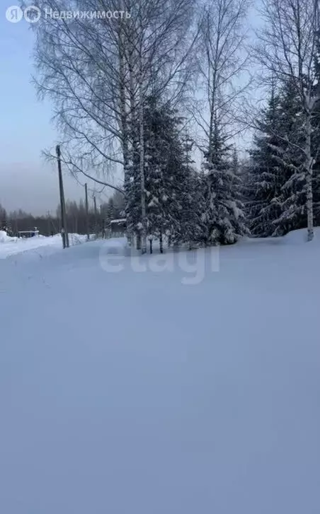 Участок в посёлок Красный Восход, КП Фэмили парк (8.37 м) - Фото 1