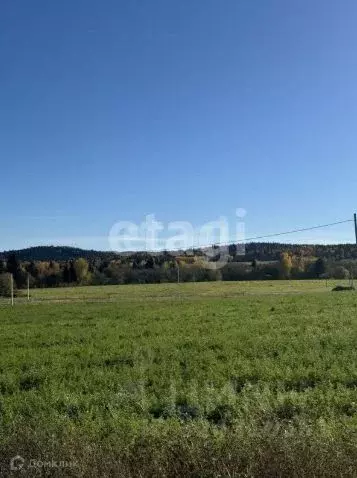 Участок в Пермский край, Пермский муниципальный округ, Полюдовский ... - Фото 2