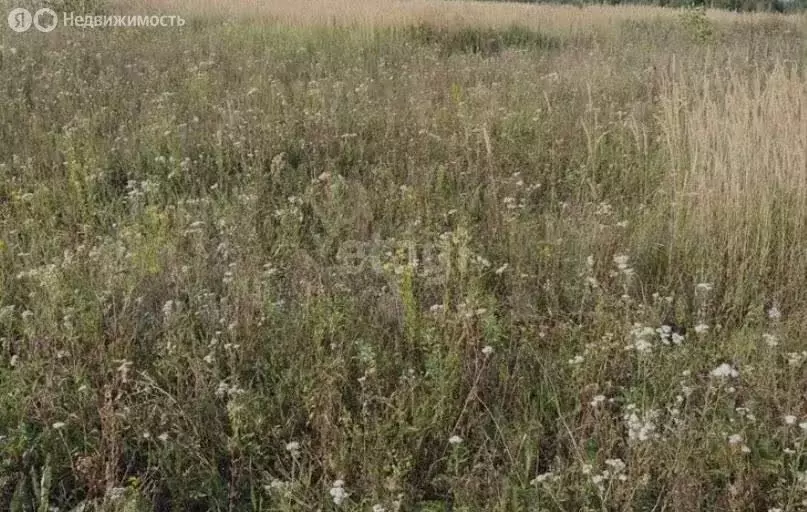 Участок в село Сенцово, Васильковая улица (15 м) - Фото 1