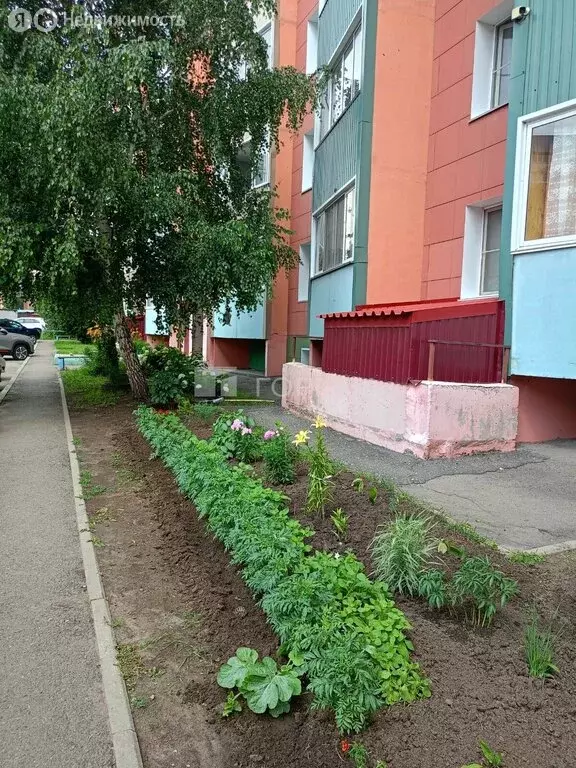 1-комнатная квартира: Барнаул, 5-я Западная улица, 59 (31.2 м) - Фото 0