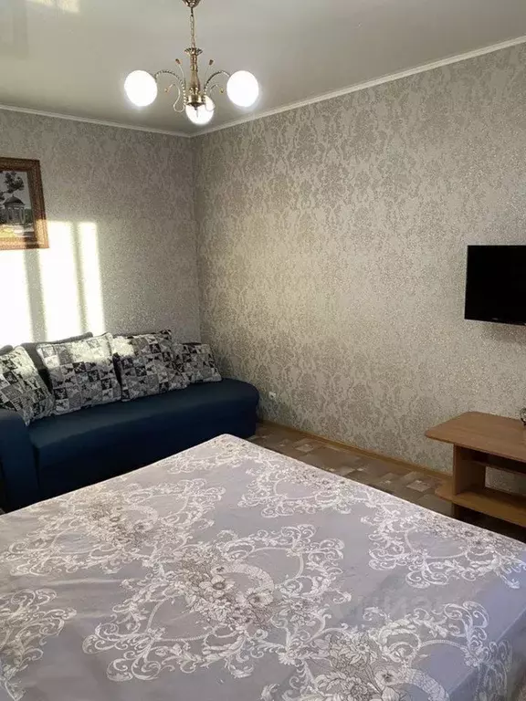 1-к кв. Забайкальский край, Чита Красноармейская ул., 12 (45.0 м) - Фото 2