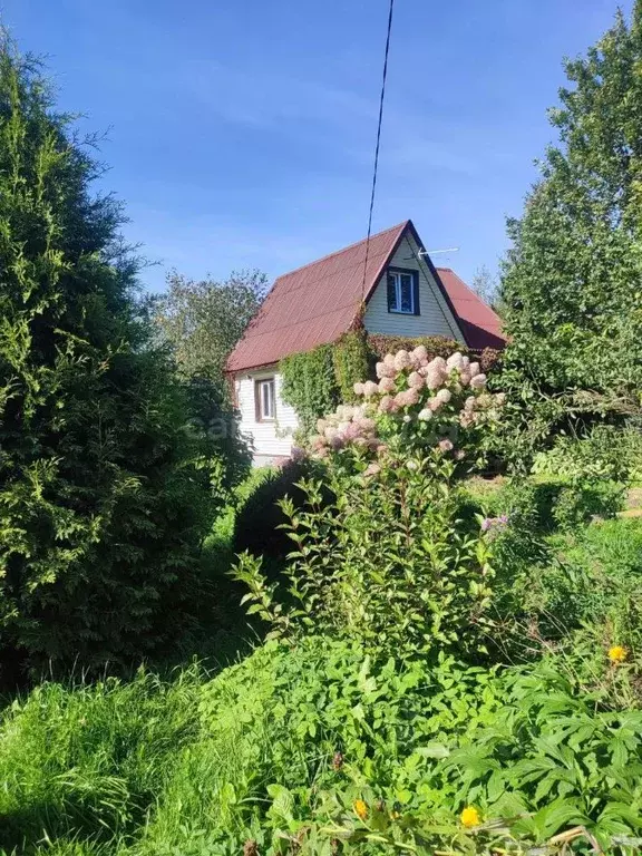 Дом в Московская область, Рузский муниципальный округ, Мебельщик СНТ ... - Фото 1