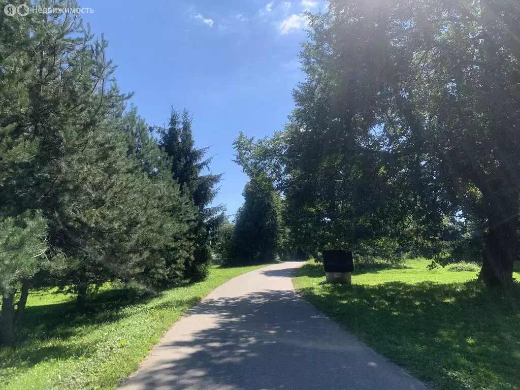 Участок в Сергиево-Посадский городской округ, деревня Ильинки (20.6 м) - Фото 2