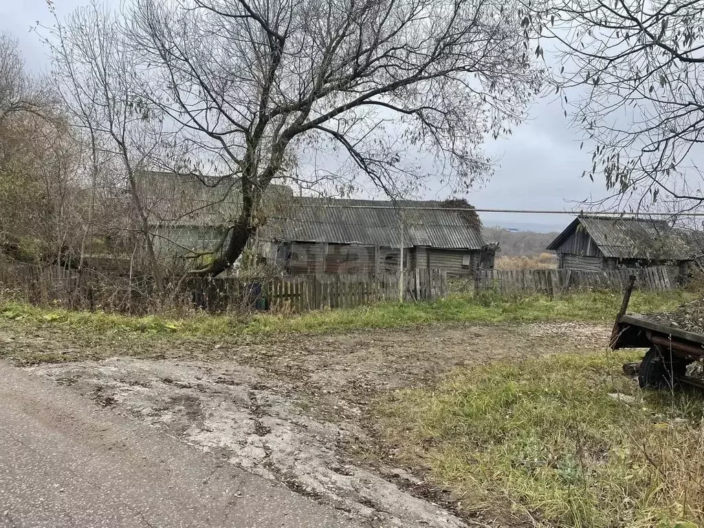 Участок в Мордовия, Кочкуровский район, с. Булгаково Центральная ул. ... - Фото 2