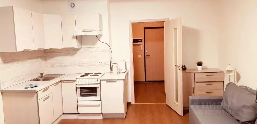 Студия Санкт-Петербург бул. Александра Грина, 1 (32.8 м) - Фото 1