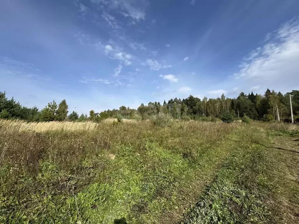 Участок в Калужская область, Малоярославецкий район, Коллонтай с/пос, ... - Фото 2