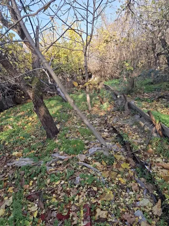 Участок в Ставропольский край, Железноводск Заря садовые участки,  ... - Фото 1
