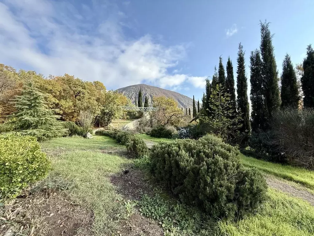 Участок в Крым, Ялта муниципальный округ, Гурзуф пгт  (70.0 сот.) - Фото 1