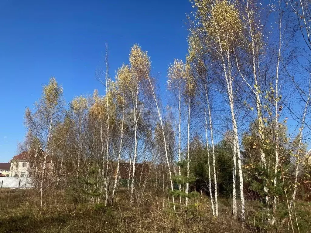 Участок в Московская область, Чехов городской округ, д. Поповка 12 ... - Фото 1