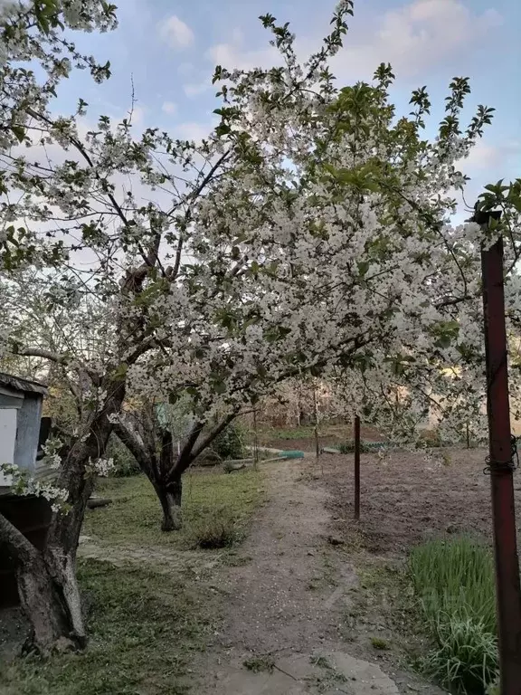 Дом в Волгоградская область, Городище рп Коммунистическая ул. (66 м) - Фото 0