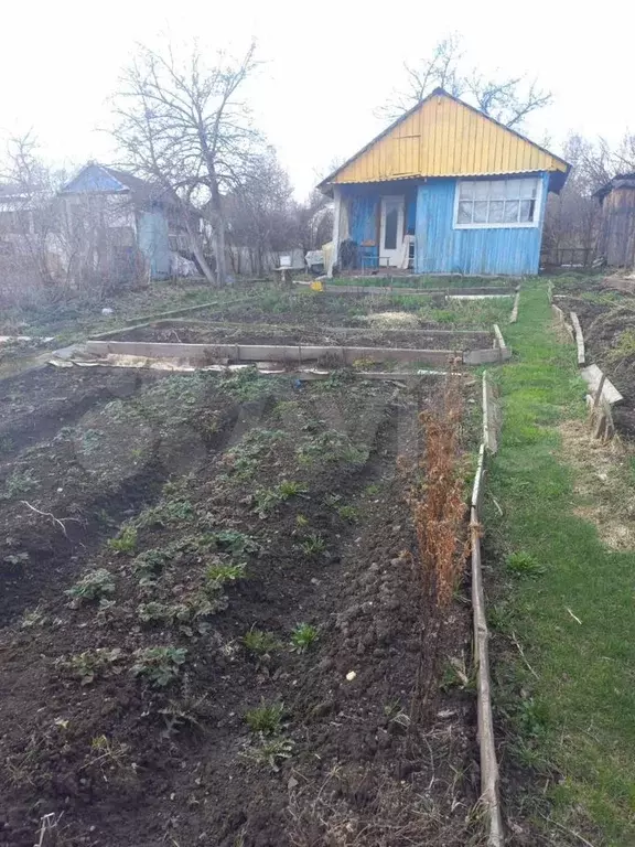 Дача 25 м на участке 4,05 га - Фото 0
