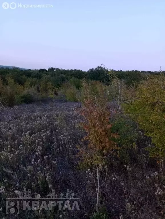 Участок в Краснодарский край, городской округ Новороссийск, посёлок ... - Фото 0