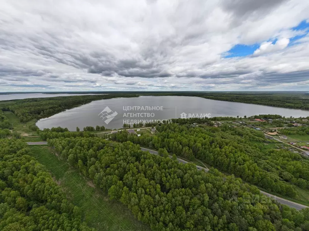 Участок в Рязанская область, Клепиковский муниципальный округ, д. ... - Фото 2