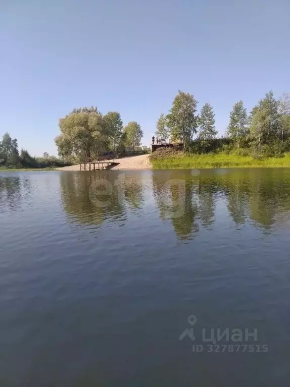 Участок в Новосибирская область, Колыванский район, Сибирская Волость ... - Фото 2