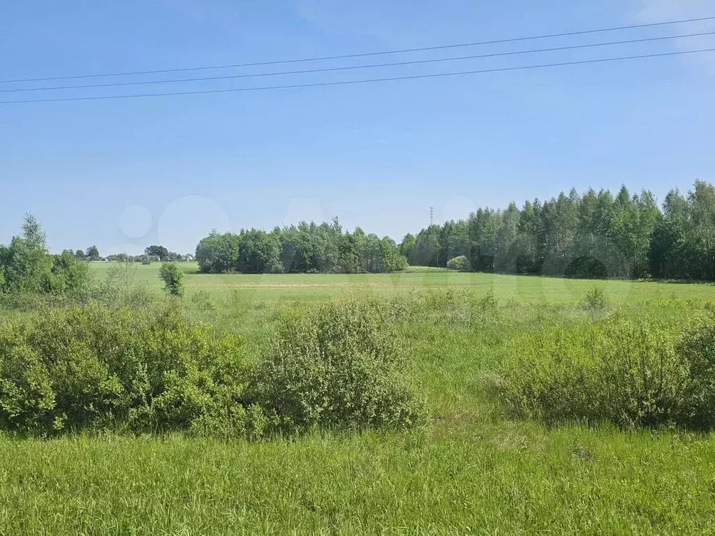 Участок 435,4 га (СНТ, ДНП) - Фото 0