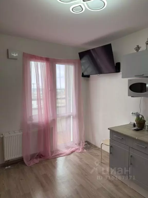 Студия Санкт-Петербург наб. Реки Каменки, 19к4 (16.2 м) - Фото 1