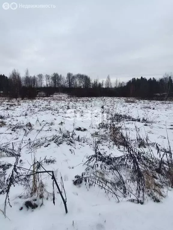 Участок в Выборгский район, Советское городское поселение, посёлок ... - Фото 1