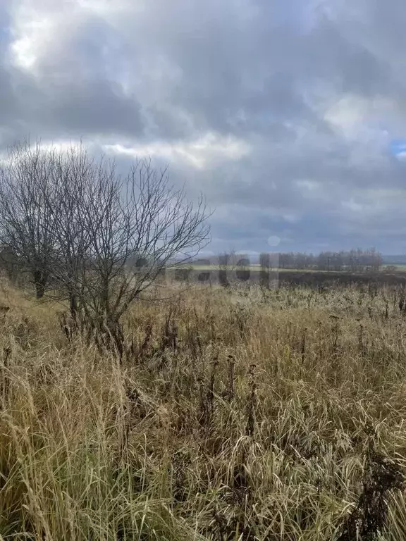 Участок в Тульская область, Болохово Киреевский район, ул. Строителей ... - Фото 1