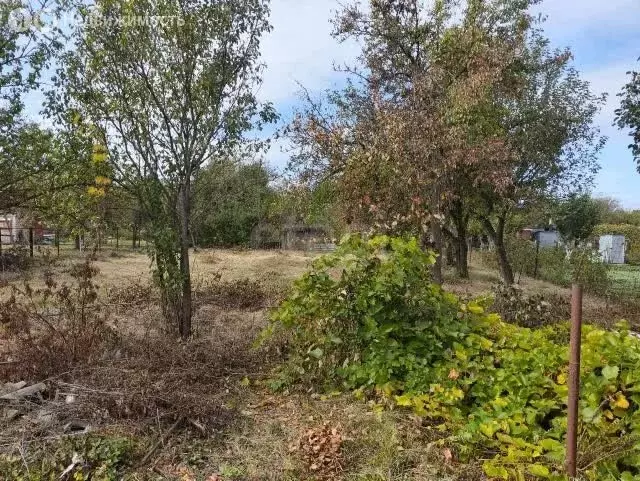 Участок в Липецк, СНП Мечта (6.05 м) - Фото 1