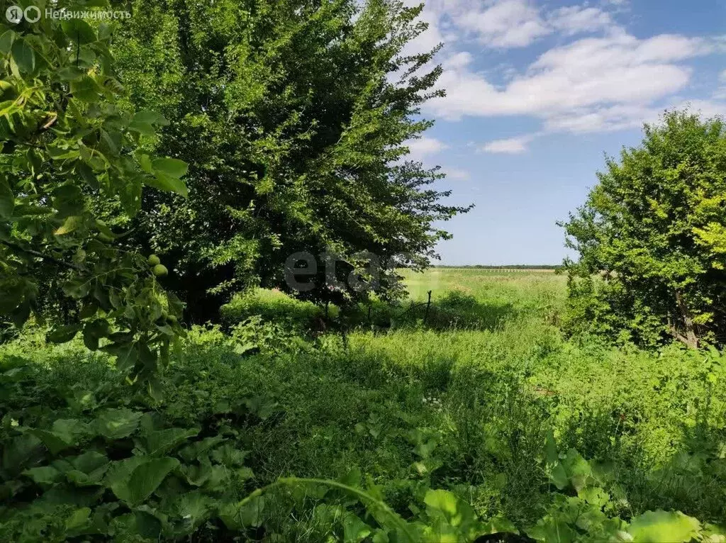 Участок в село Изобильное, Новая улица (6 м) - Фото 1