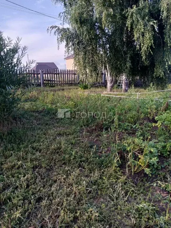 Участок в Алтайский край, Первомайский район, с. Фирсово Затонская ... - Фото 0